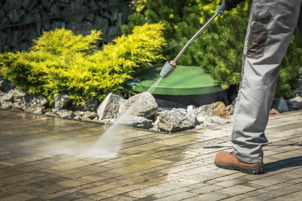 Best Pool Deck Cleaning  in Woodstown, NJ